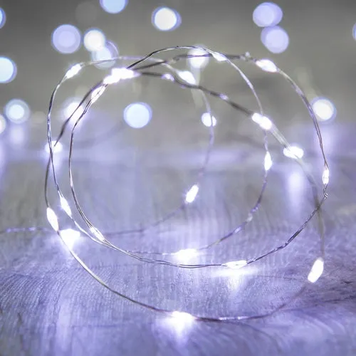 100 LED Silver Copper Fairy Lights - Battery Operated