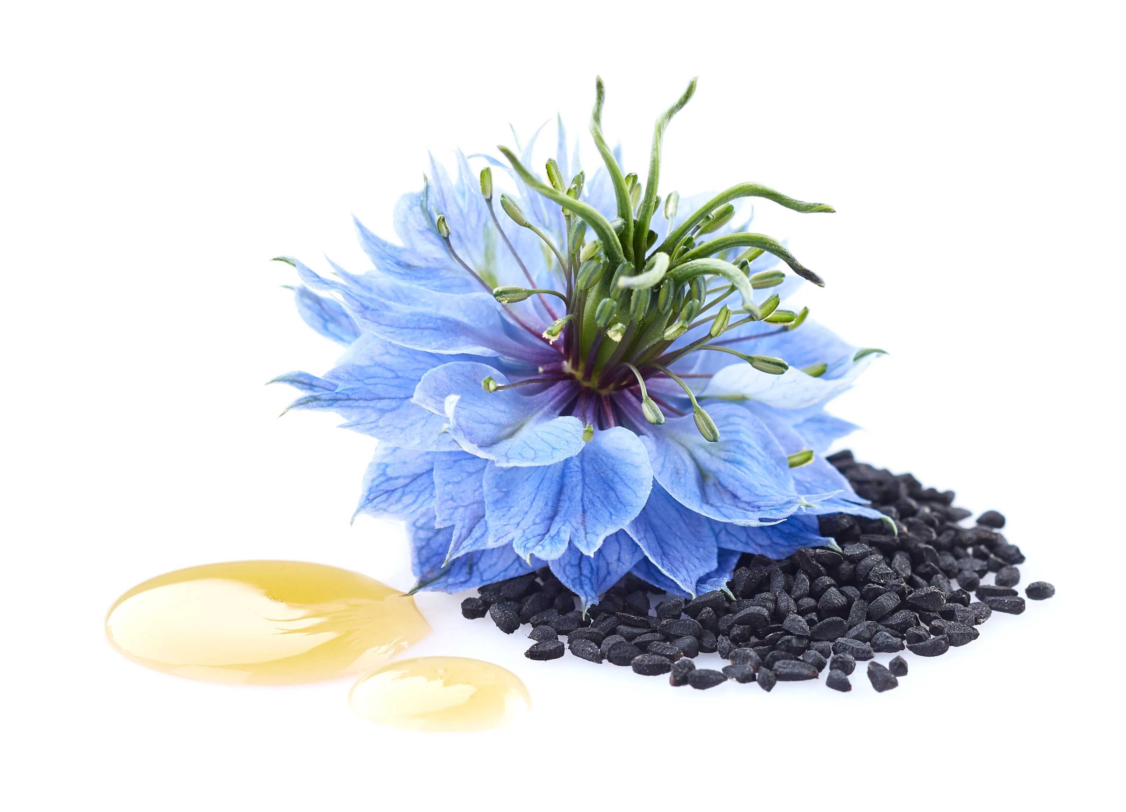 Blackseed Oil