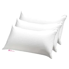 Casa Copenhagen Premium Soft Satin Stripe Pillows Fillers/Inserts Pack of 3 (16 x 24 inches) - Cat White