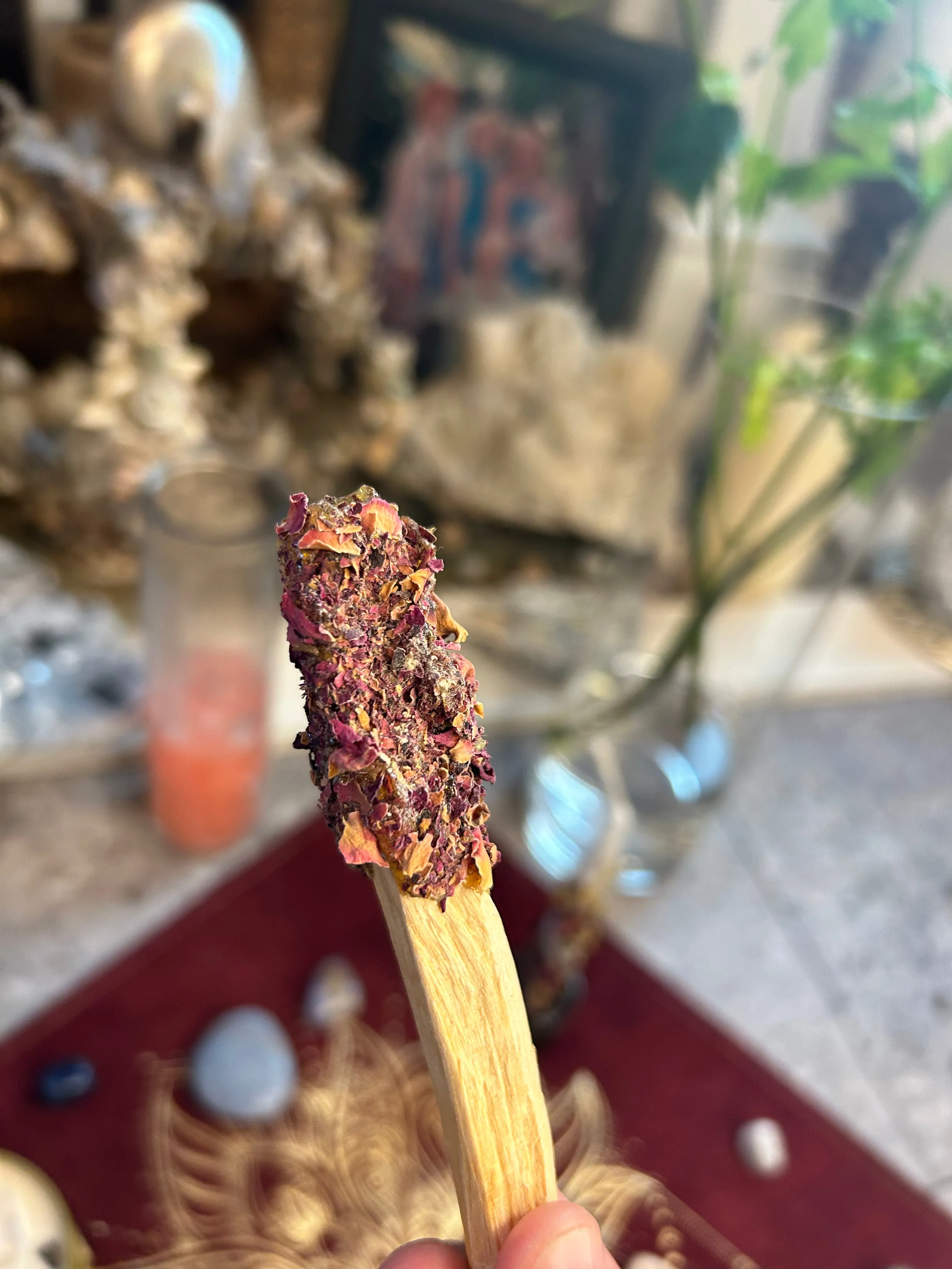 CharlieHaze Copal Dipped Palo Santo Sticks Rolled in rose