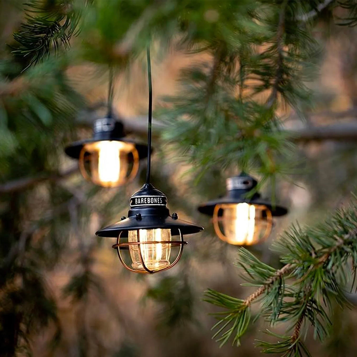 Edison Pendant String Lights