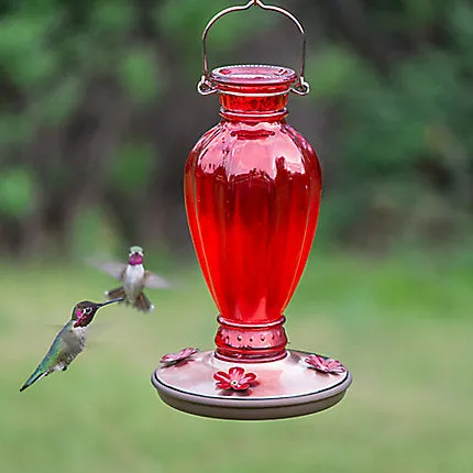 Perky-Pet® Daisy Vase Vintage Hummingbird Feeder - 18 oz Nectar Capacity (1-Count)