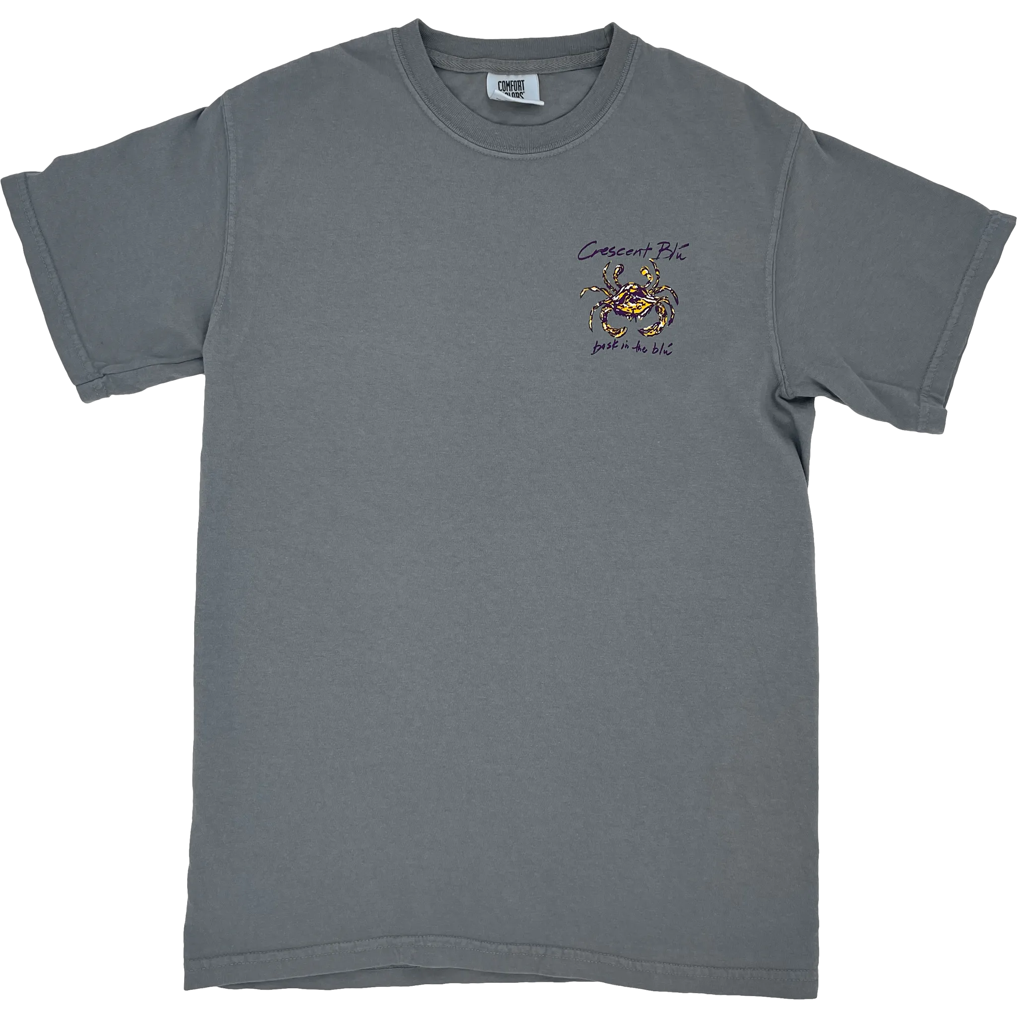 Purple & Gold Adult Short Sleeve T-shirt