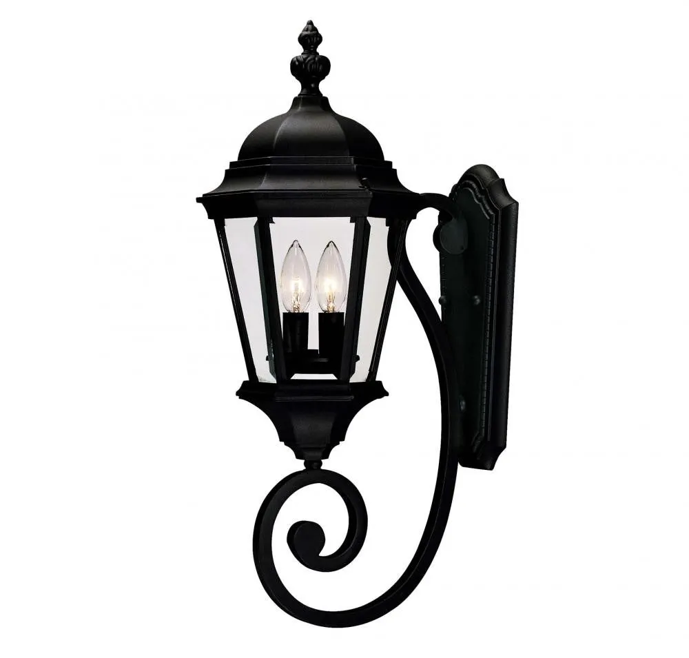 Textured Black Outdoor 2 Light Wall Lantern